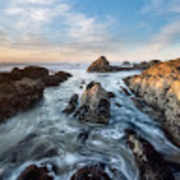 Meet your Posher, Seraphina - Picture 1 of 1